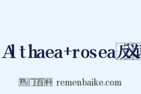 Althaea+rosea反义词是什么意思的图片